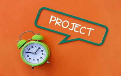 Lizanne Celebrates A Happy Holiday With Her Custom Mirror